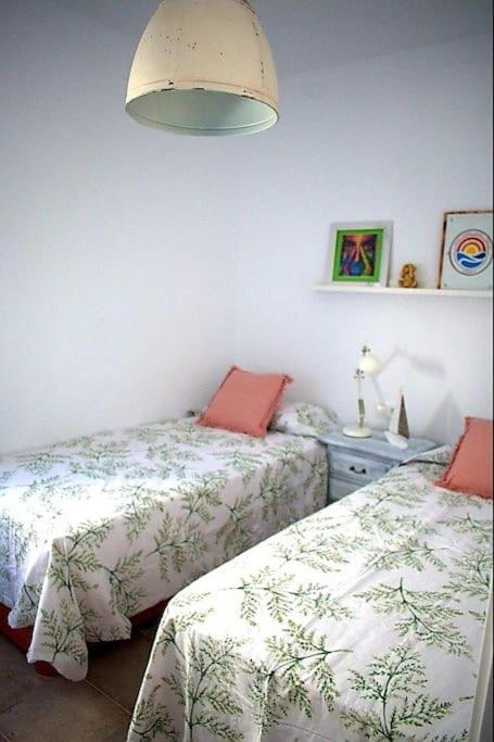 Ferienwohnung Espectacular Casa Muy Luminosa Con Azotea Conil De La Frontera Exterior foto